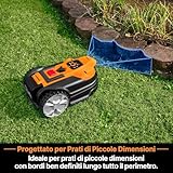 Lawnmaster B0F2FH3ZZD lato 4