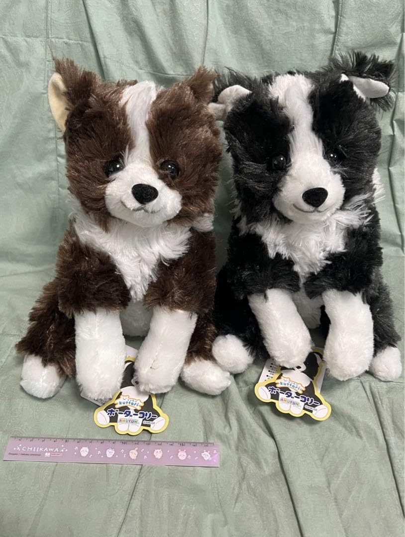 Amazon.co.jp: くったりボーダーコリー ネロ チョコ セット 犬  