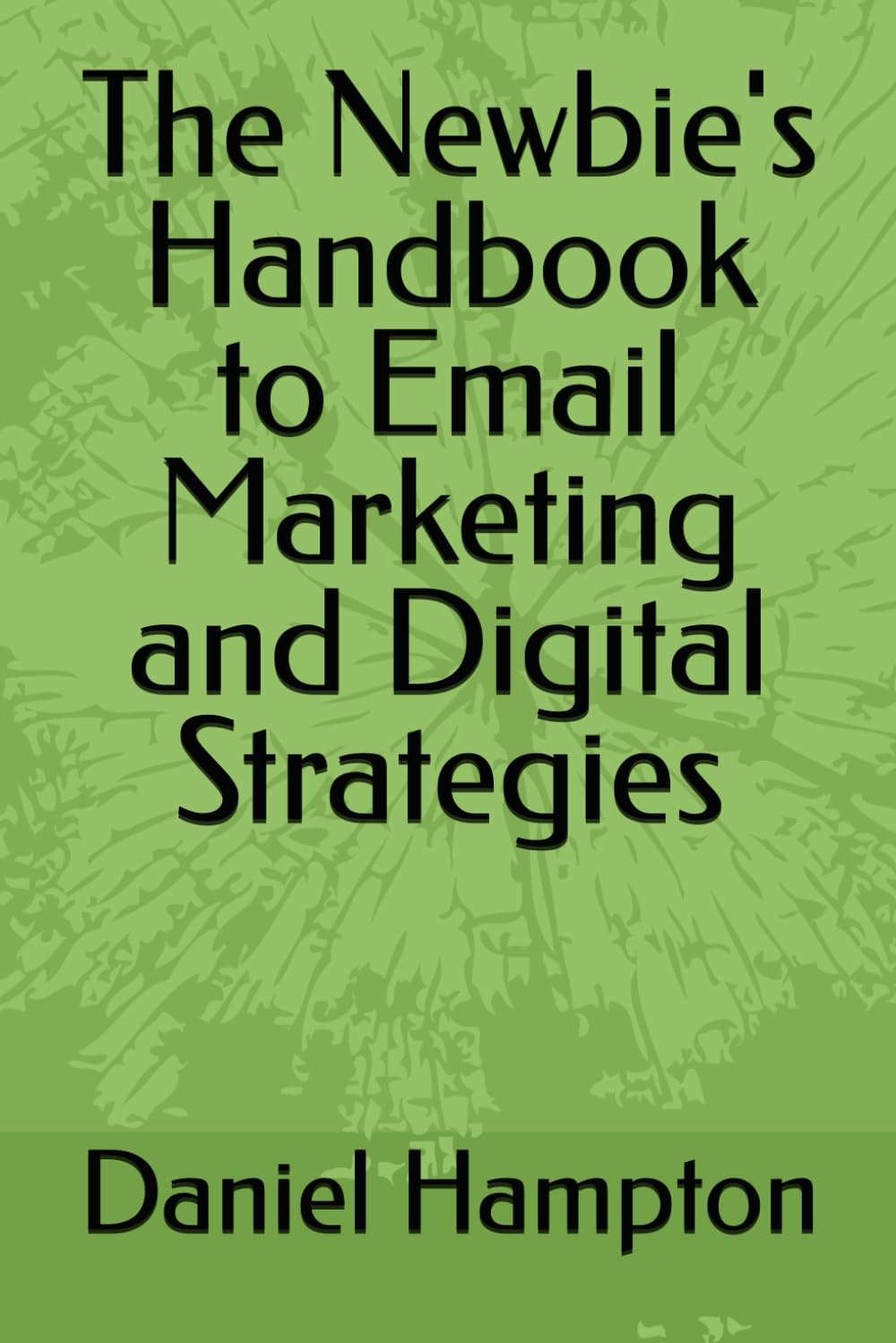 The Newbie's Handbook to Email Marketing and Digital Strategies