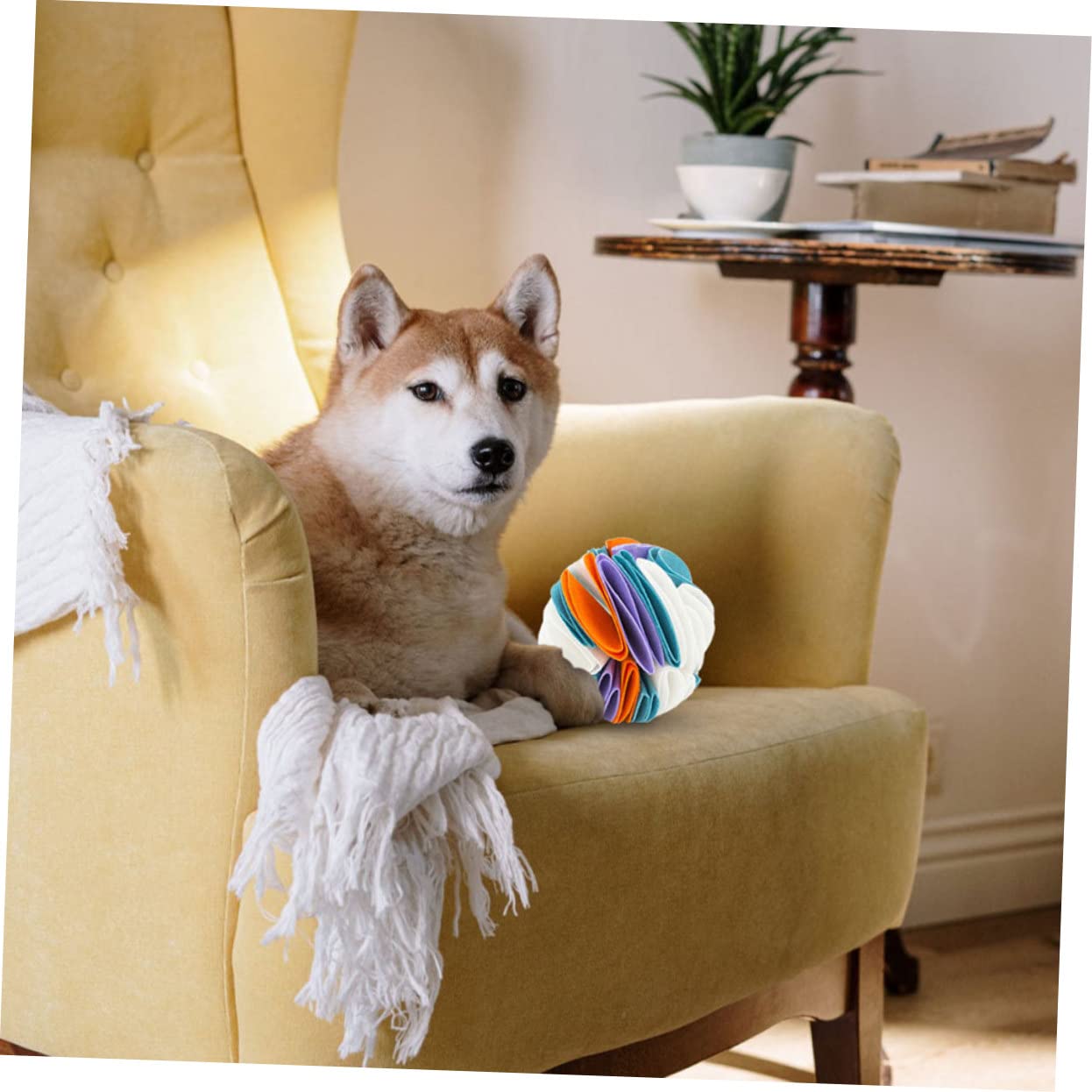 SUPVOX 2 Piezas De Pelota para Olfatear Perros Juguetes Chirriantes para Perros Juguetes De Entrenamiento para Olfatear Almohadilla De Alimentación para Juguete para