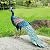 Kircust Metal Peacock Statue for Outdoor Decor - 24" L Elegant Peacock Sculpture for Garden, Patio, Yard, or Home - Weatherproof & Handcrafted Peacock Art