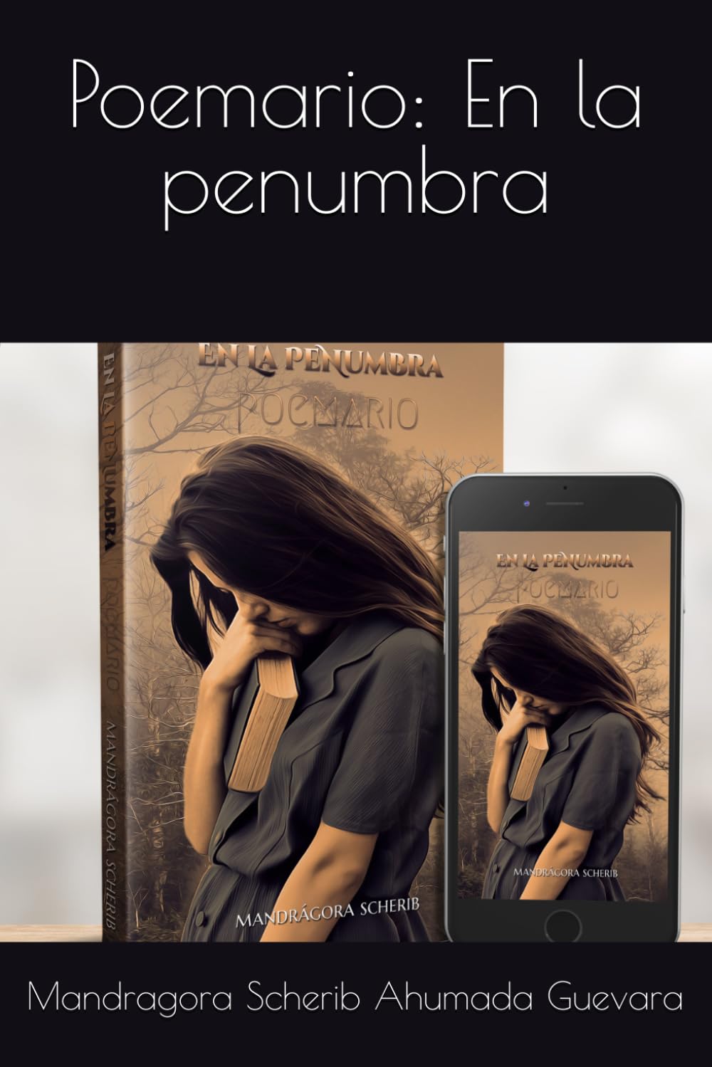 Poemario: En la penumbra
