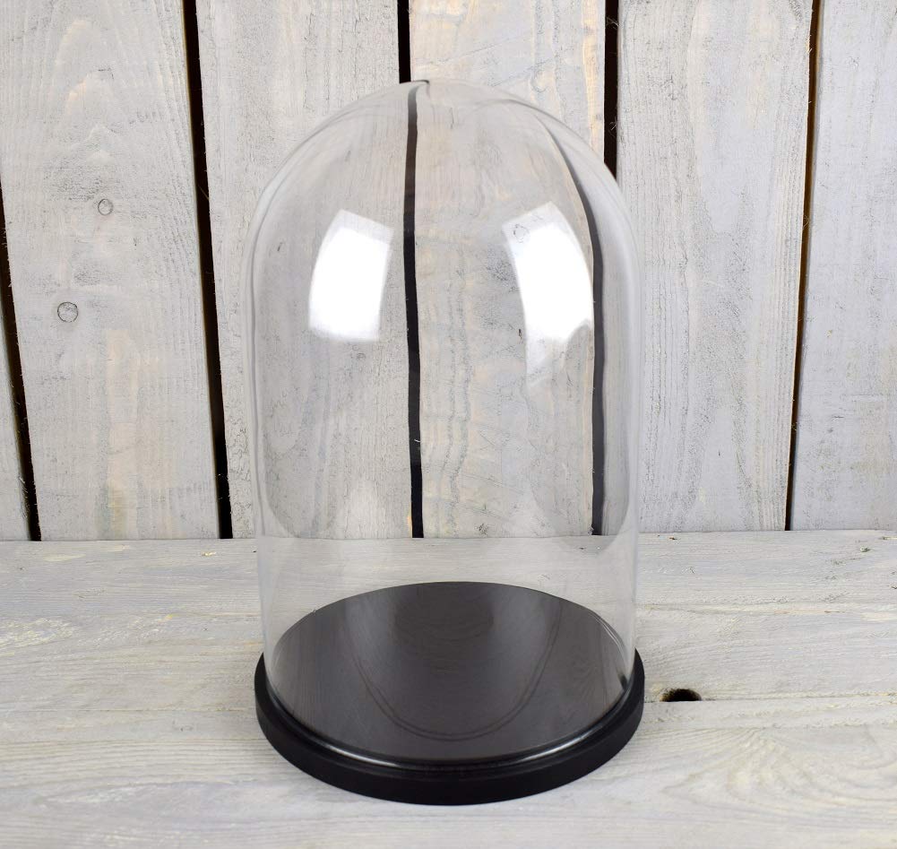 EMH Campana de cristal con base negra, 31 x 15 cm