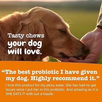 Zesty Paws Probiotics for Dogs - Digestive Enzymes for Gut Flora, Digestive Health, Diarrhea & Bowel Support - Clinically Studied DE111 - Dog Supplement Soft Chew for Pet Immune System - Pumpkin, 90ct