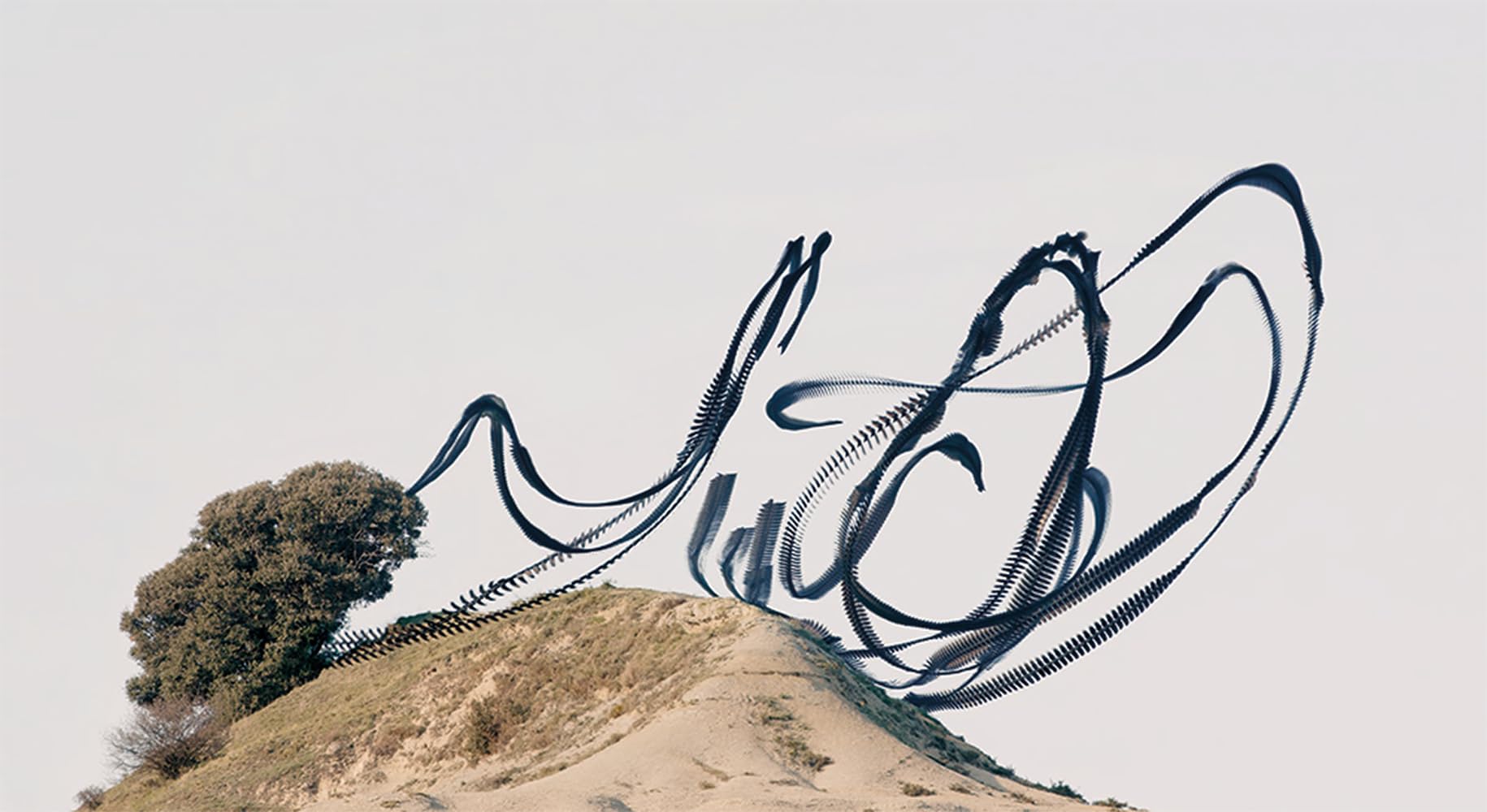 Ornithographies