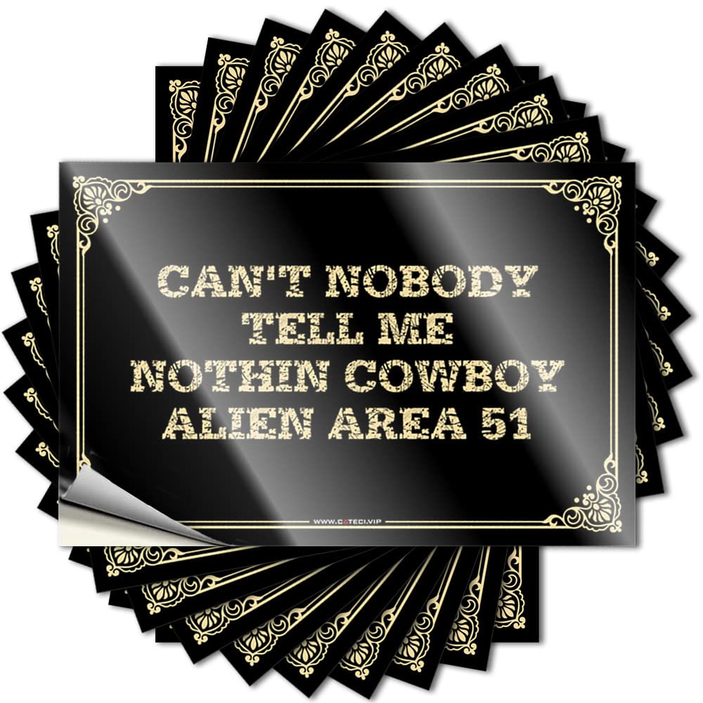 Sticker - Coastal Window Can't Nobody Tell Me Nothin Cowboy Alien Area 51 for Winter Funny Bar Decor(6X9CM)