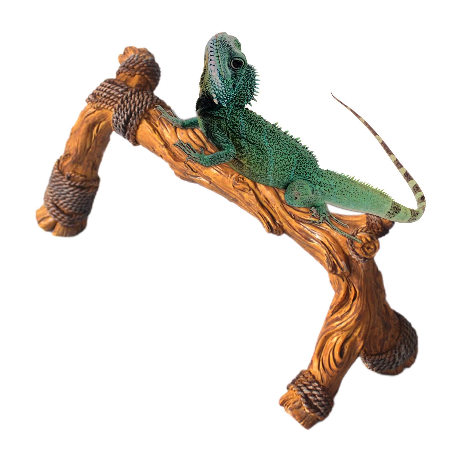 Branches Grimpantes Pour Reptiles | Branches De Bois Pour Reptiles | Habitat D'escalade Pour Animaux De Compagnie | Décoration D'habitat Pour Reptiles | Branche D'arbre Grimpante Pour Caméléons, Lézar