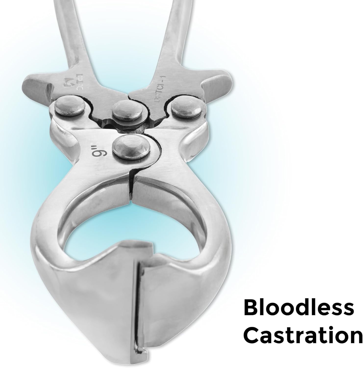 9” Stainless Steel Bloodless Castration Tool for Livestock – Durable Emasculatome for Goats, Sheep, Calves, Horses – Veterinary Neutering Tool