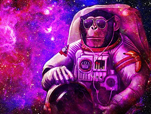 Shraphy Purple Space Monkey Astronaut Tapestry,Fantasy Spaceman Tapestry Wall Hanging,80X60 Inches Home Decor Wall Hanging For Children Adults Room Bedroom Dorm Gtdsuh223 #TOP5