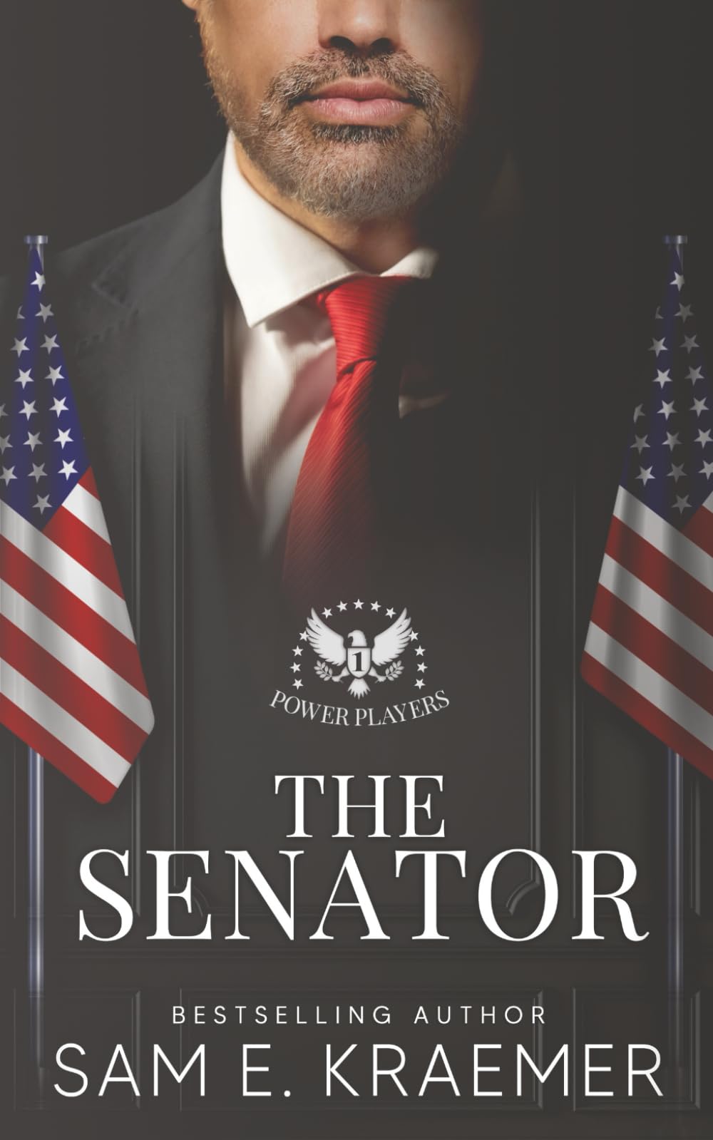The Senator: The Lonely Heroes Series Spinoff (Power Players)