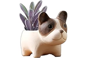 Chenwen Dog Planter for Indoor Plants
