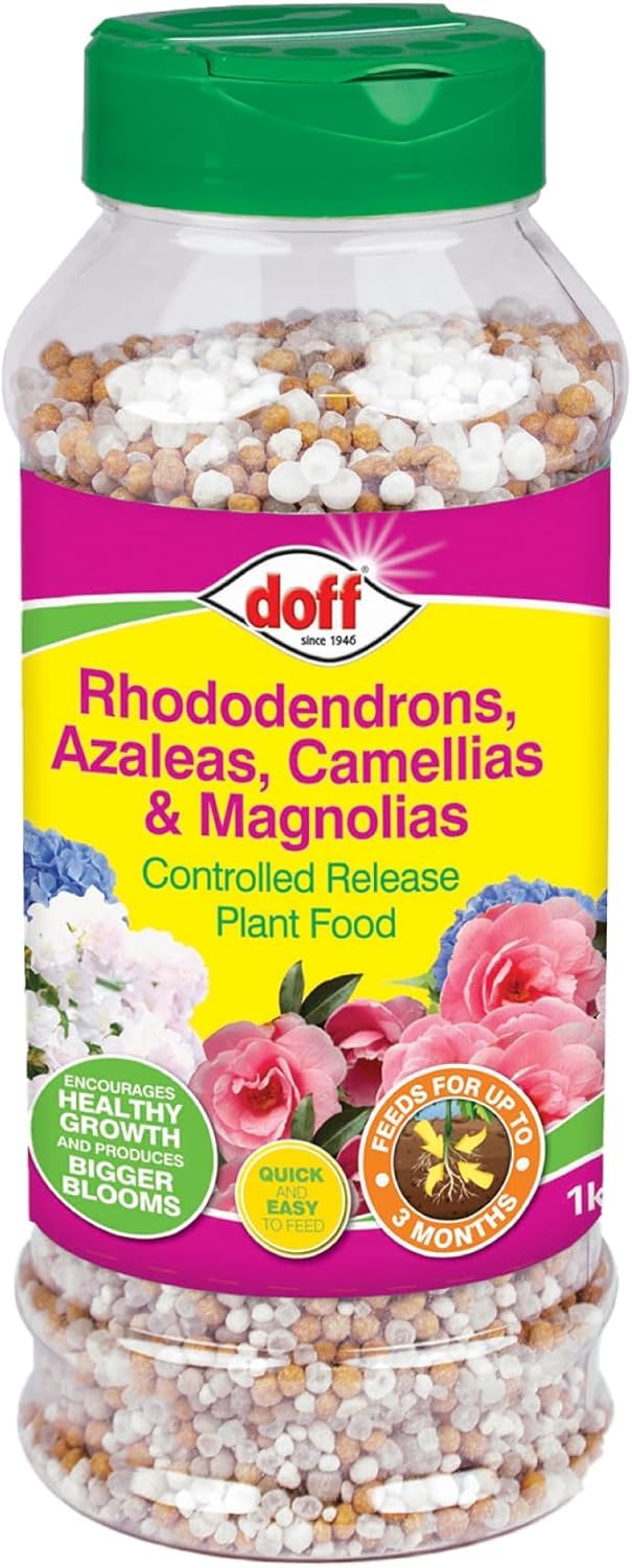 Fast Acting Rhododendrons, Azaleas, Camellias & Magnolias Controlled Release Plant Food Garden Fertiliser Encourages Root Development 1kg