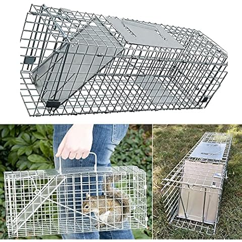 Large Humane Live Animal Trap Cage, Catch and Release Rabbits, Squirrel, Raccoon and Similar Size, Reusable Rodent Trap Galvanised Mesh Dormouse Rat Mouse Trap, Easy to Set, 24 x7.5 x8.3 inch Cover