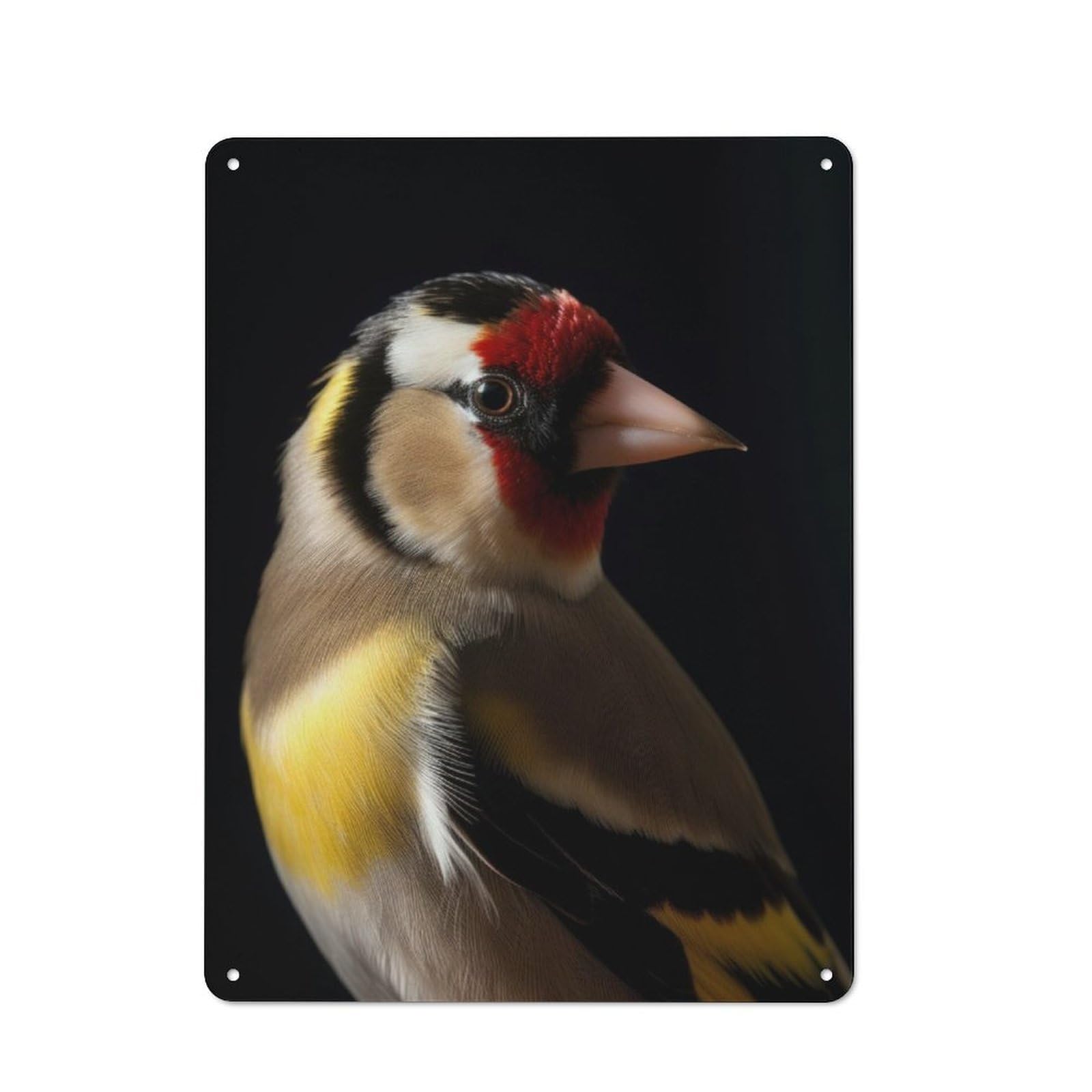Vintage Metal Sign 40x30cm Featuring Goldfinch Brid in The Dark, Home Bar Decor for Cafe, Pub, Workshop Or Home Bar