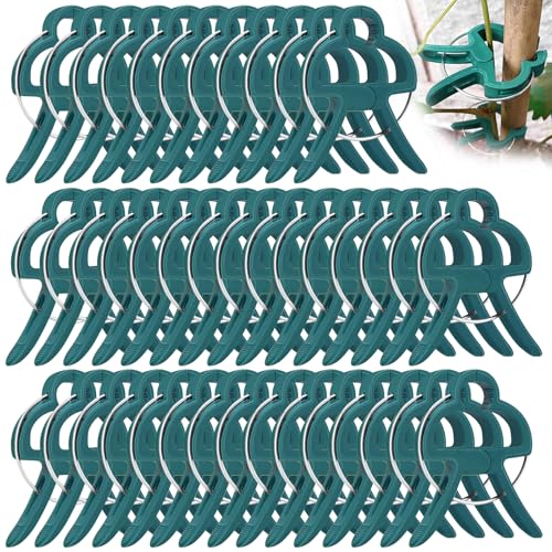 GmwyCzV 40 Stück Pflanzenclips, 62X45mm Groß Pflanzenklammern Selbstklebend, Wiederverwendbare Pflanzen Clips, Dunkelgrün Plant Clips für Kletterpflanzen, für Halten Garten Pflanzen Gemüsefrucht