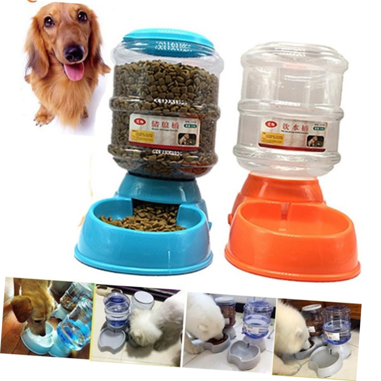 L Comedero 5 3, Comida Automático de Control para Gatos