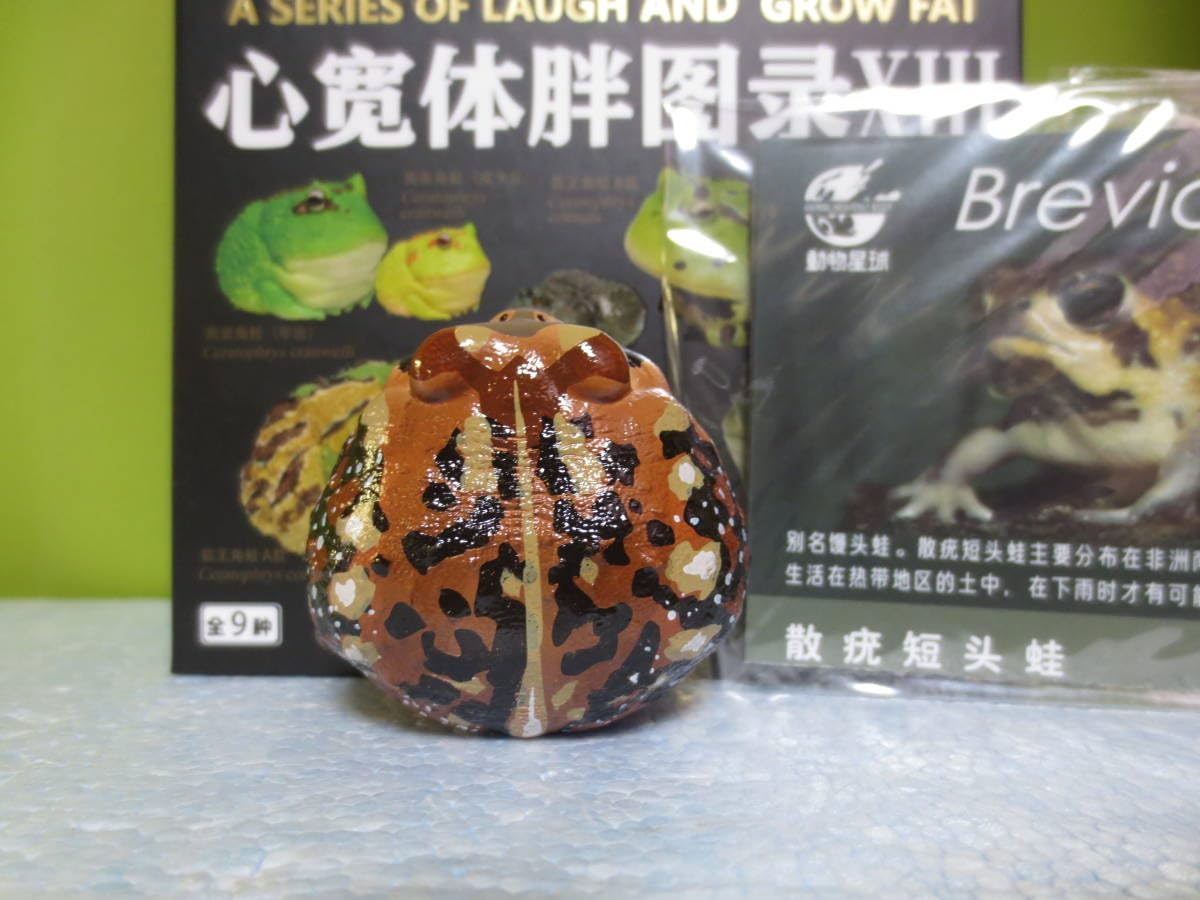 新品　動物の惑星 アニマルプラネット　イエアメガエル　正規品 Amazon.co.jp: 限定品 動物の惑星 アニマルプラネット 爬虫類