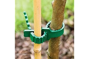 Small Tree Support Straps for Secure and Healthy Tree Growth