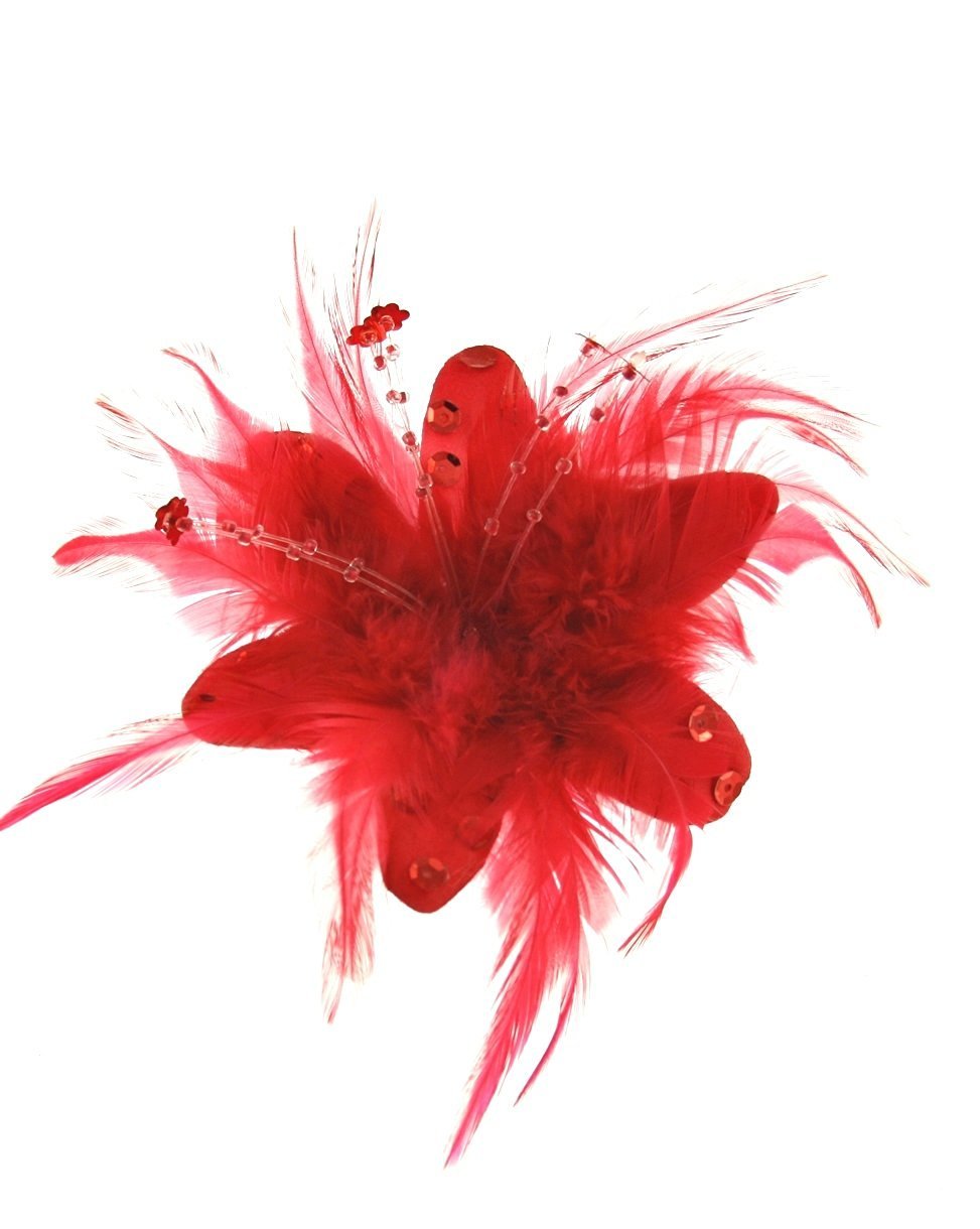 Zac's Alter Ego Girls Red Fur, Feathers & Sequins Fascinator/Flower On Clip & Brooch Pin