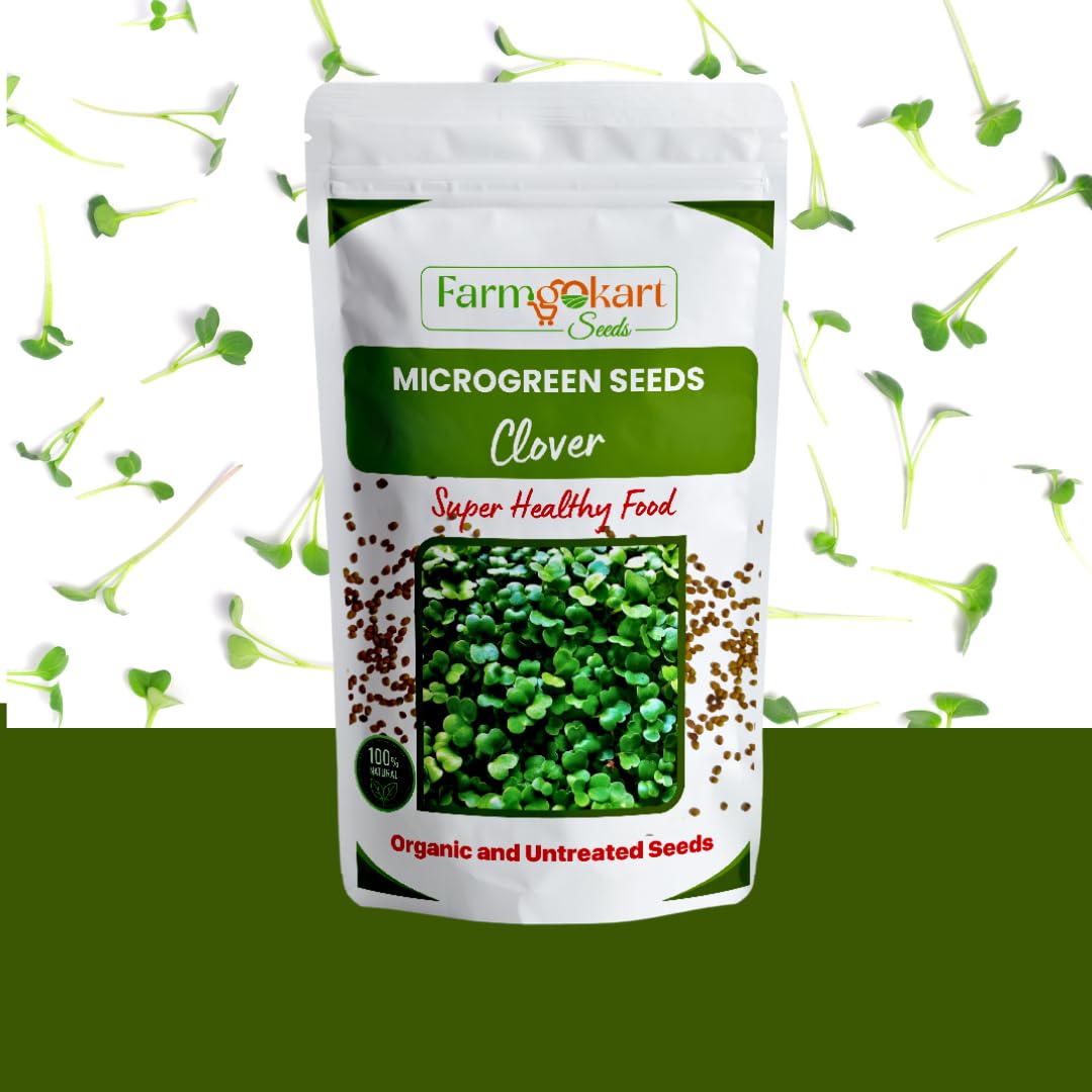 Farmgo | 25 Grams | Clover Microgreen Seeds -Starter Pack | Organic and Untreated Seeds | Grow your Own Greens