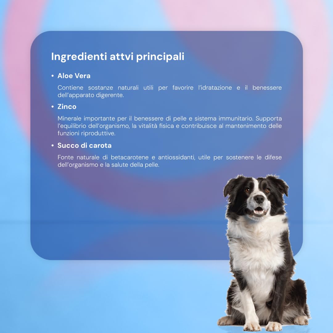 BIOLIFE Integratore per cani in polvere di succo di carota, Aloe vera e Zinco 100g | Mangime Complementare, integratore cani sistema immunitario, benessere naturale.