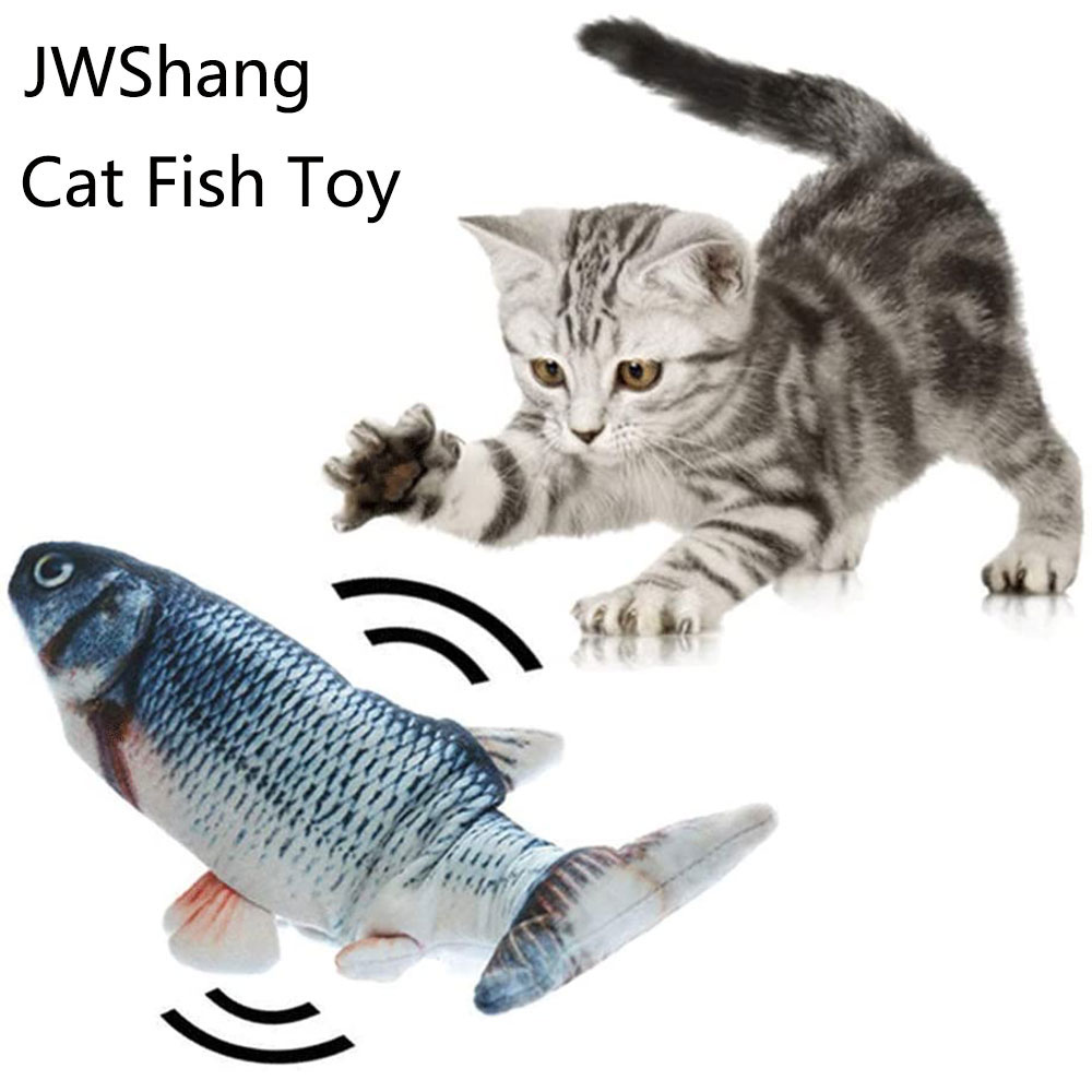 fish for kittens