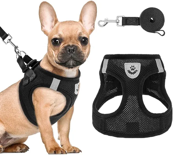 PAWCHIE Puppy Harness and Leash Set - Soft Mesh Dog Vest Harness, Reflective & Adjustable Harness for Small to Medium Dogs, Cats and Puppies,Easy Walk Comfortable Pet Harness with Handle (5-10 lbs)