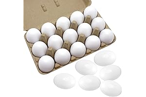 15 Pack White Wooden Easter Eggs for Decorating