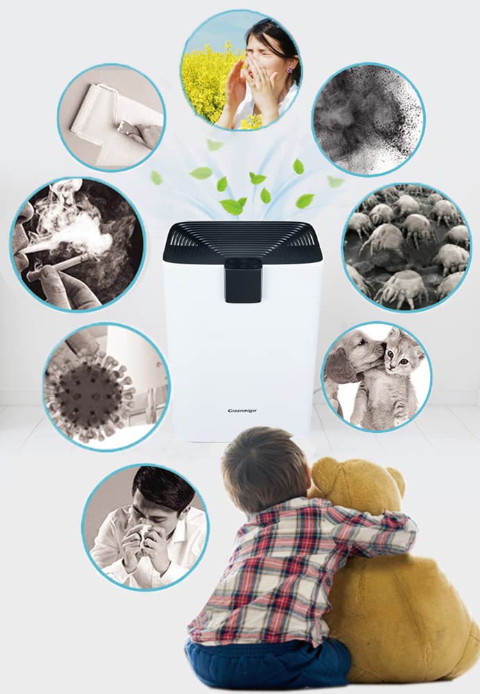 Purificatore d'Aria Silenzioso con Filtro HEPA 3 in 1 e Carbone Attivo, Ionizzatore, Timer, 60m², 320m³/h, Elimina Odori Cucina Fumo Polvere Muffa Pet Dander, per Casa Ufficio