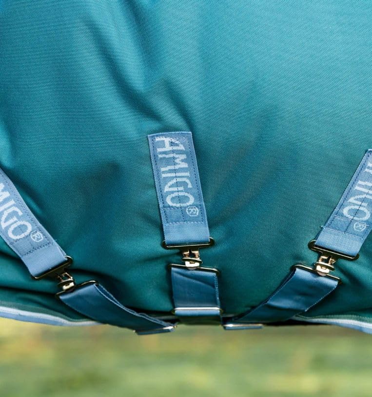 Image of Horseware Amigo Bravo 12 Plus Turnout 400g - Storm Green /Turquoise & Aqua & Blue, 81 inches