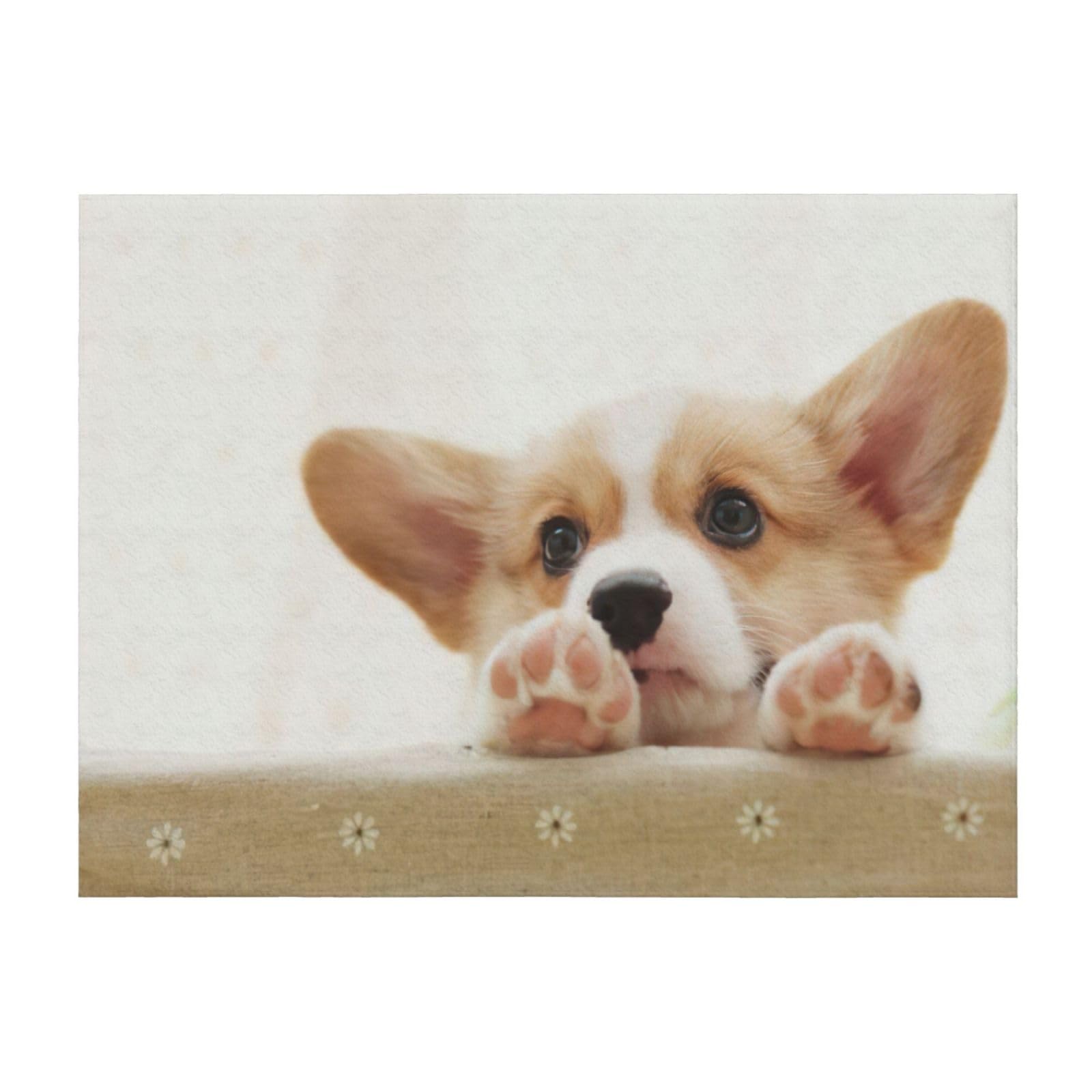 Couverture de lit corgi EdWal parfaite pour vos moments cocooning