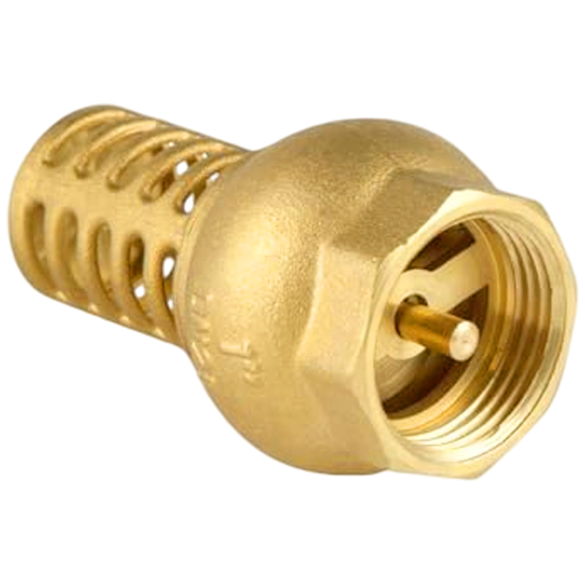 Brass Foot Valve with Strainer, Heavy Duty Check Valve for Well Pump and Water Systems, Golden, Grommets