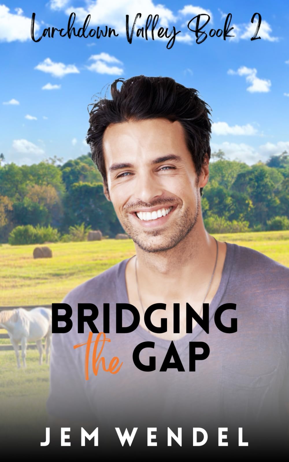 Bridging The Gap: MM Small Town Romance: 1 (Larchdown Valley Series)