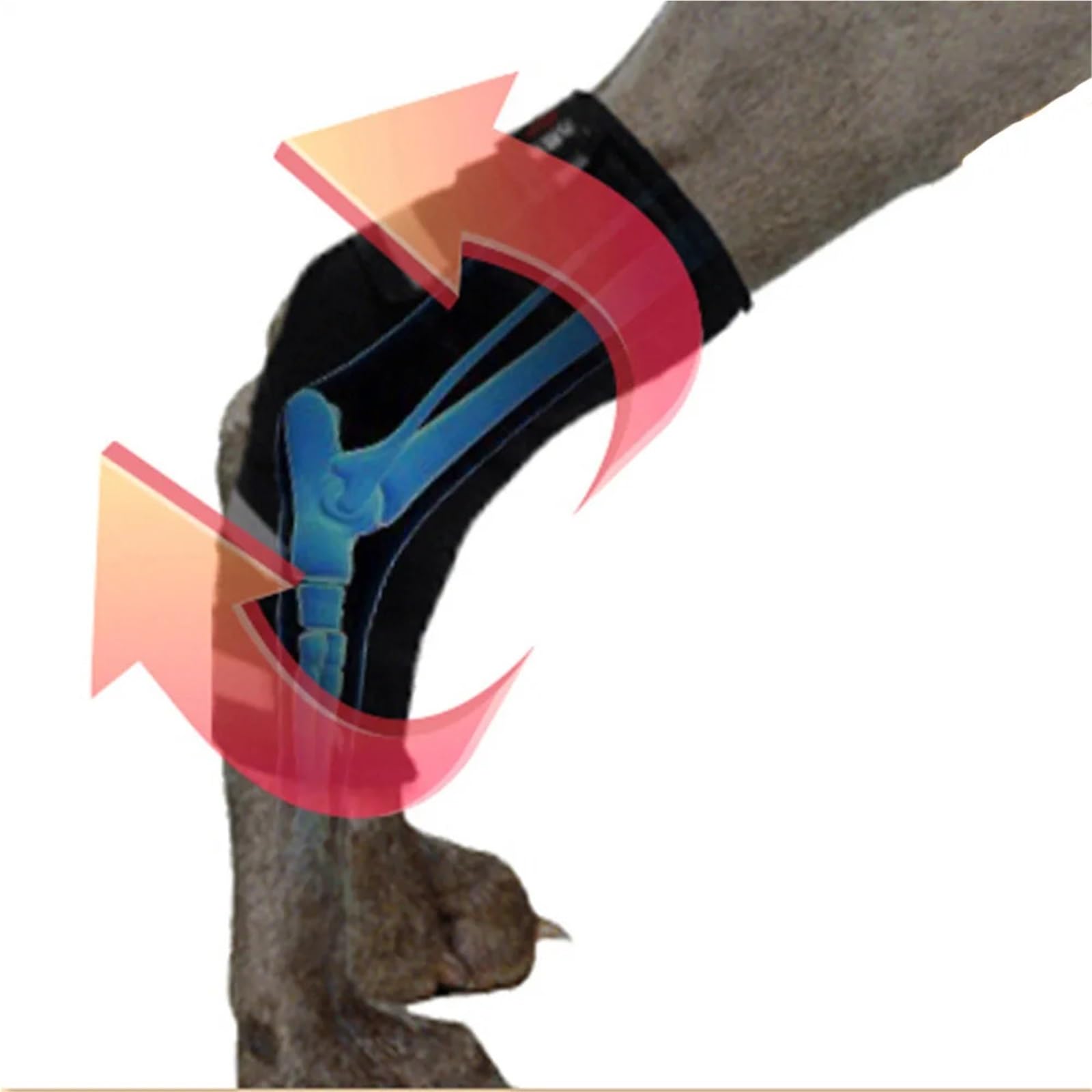 Protettore per gambe del cane, protezione per artrite e ginocchia, per la riparazione post-operatoria del cane, per la riabilitazione post-operatoria, anti-leccare (L)