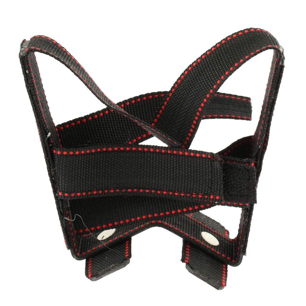 Dynwave Dog Puppy Ear Care Standing Tools Doberman Pinscher Dog - Main Image