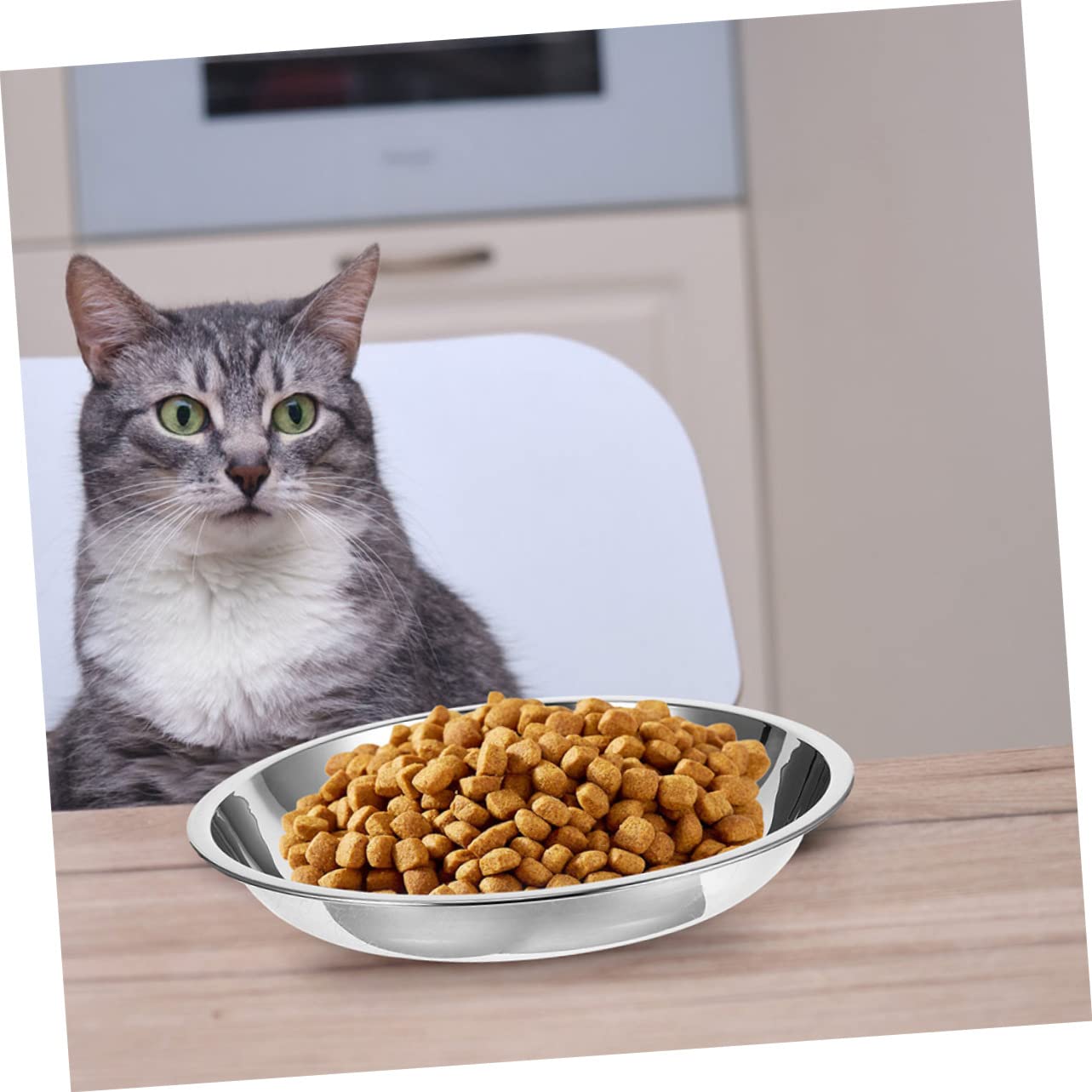 POPETPOP 20 Pezzi Ciotola Per Gatti In Acciaio Inossidabile Ciotola Per Cani In Acciaio Inox Ciotole In Acciaio Inossidabile Per Cani Ciotole Per Cibo Per Gatti In