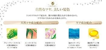 ECLTヘアカラー　ライトブラウン８点 ECLTヘアカラー ライトブラウン8点