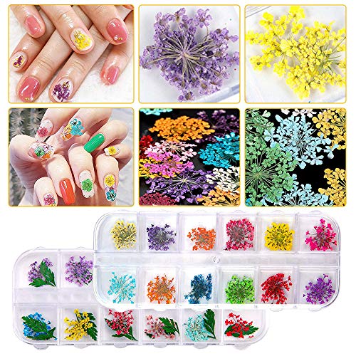 Gedroogde bloemen voor nagels - 2 dozen (36 stuks) Gedroogde bloemen voor hars ambachten, 24 bloemen en 12 bladeren 3d… - Afbeelding 8