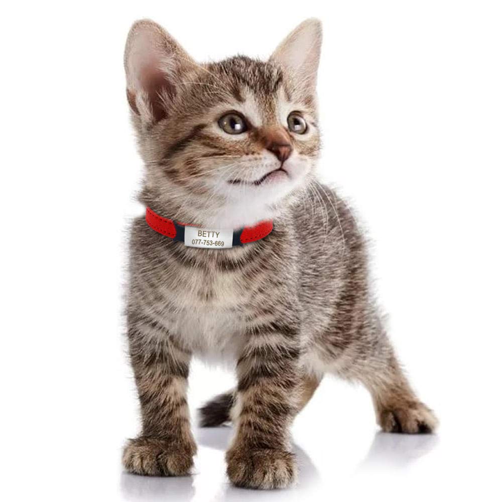 Collare Per Gatti Personalizzato Collari Per Gatti In Pelle Scintillante Collana Per Cuccioli Di Cani Di Piccola Taglia Con Gattino Intagliato Personalizzato Con Targhetta Identificativa Incisa - Foto 9
