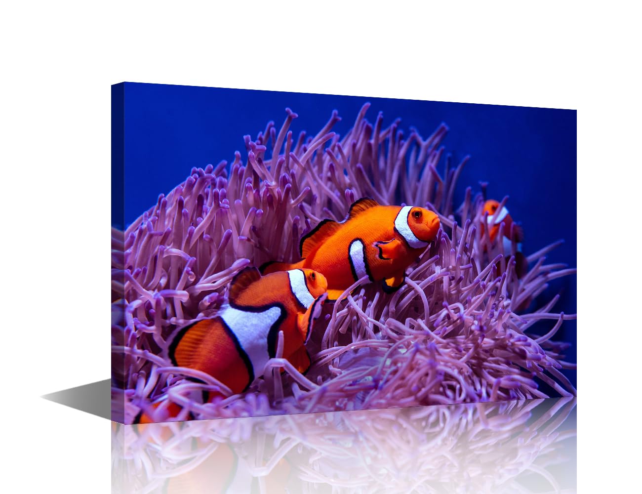 TISHIRON House Decorations Clown Fish Wall Pictures for Living Room Clownfish and Pink Coral Anemone Canvas Wall Art Modern Painting 1 Panel Prints Wall Art on Canvas Framed Ready to Hang, 18x12in — image 1