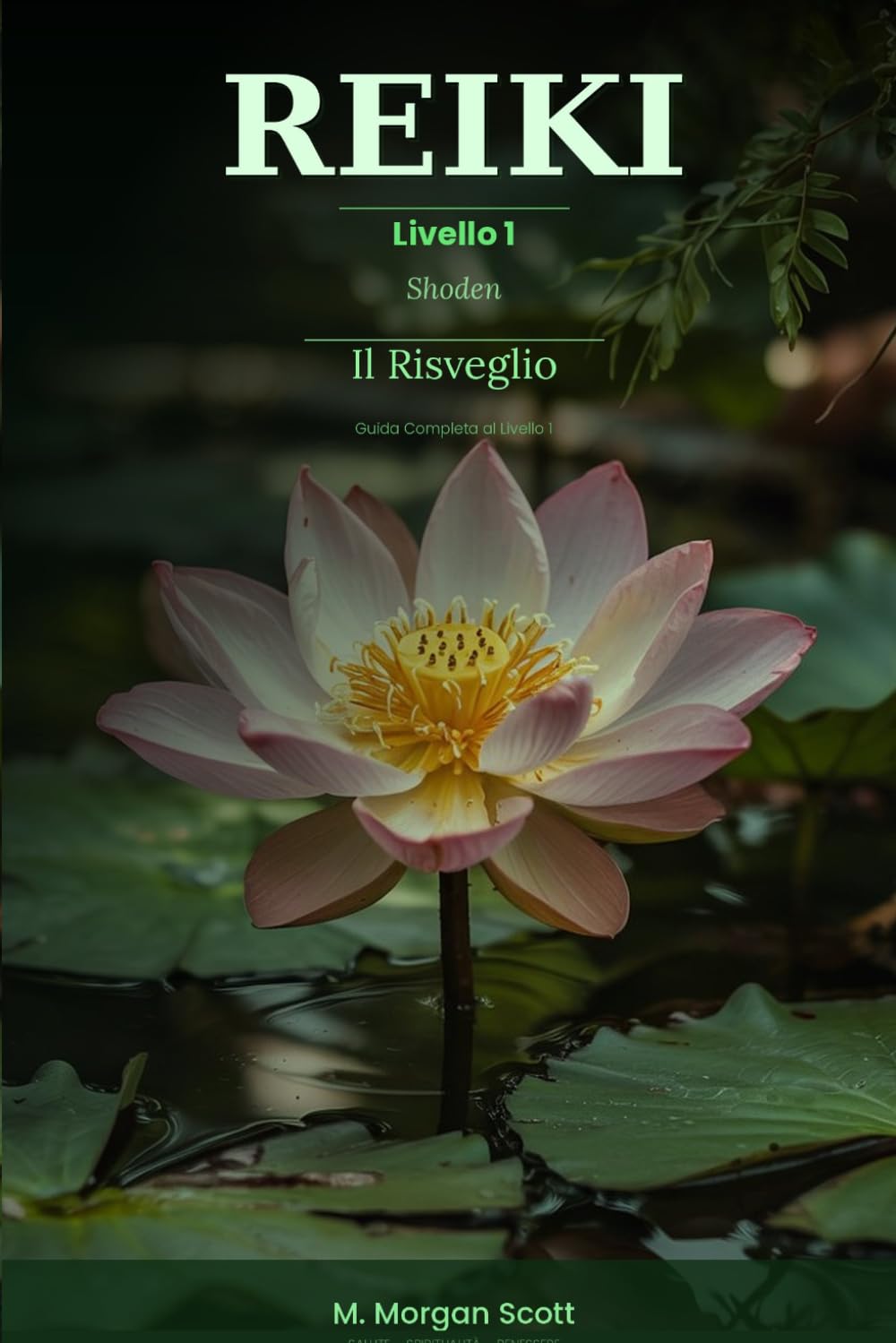 REIKI Shoden Il Risveglio: Guida completa al Livello 1 (REIKI COMPLETO DO DESPERTAR À MAESTRIA (SHODEN, OKUDEN E SHINPIDEN))