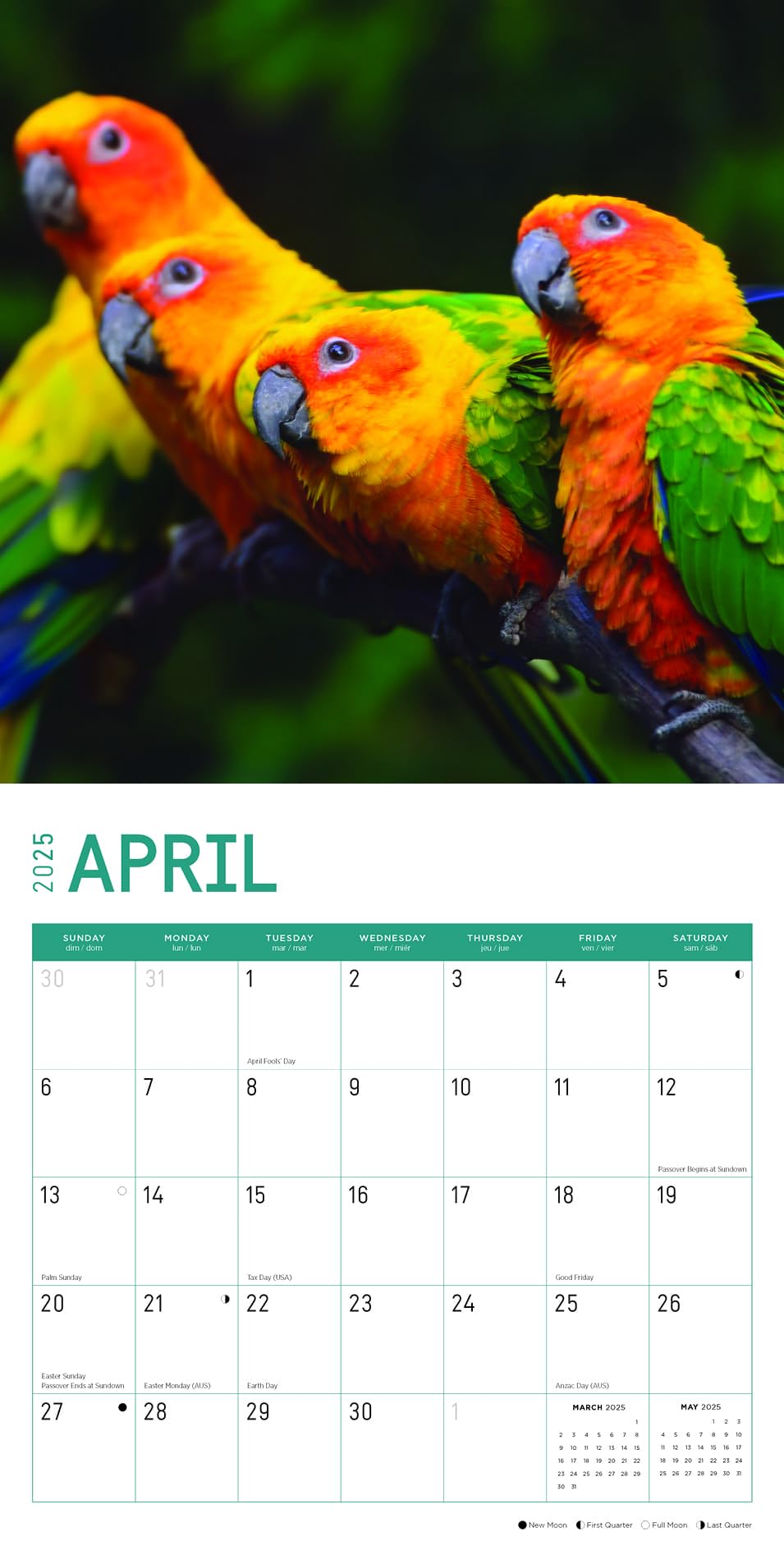 2025 Tropical Birds Monthly Wall Calendar by Bright Day, 12 x 12 Inch ...
