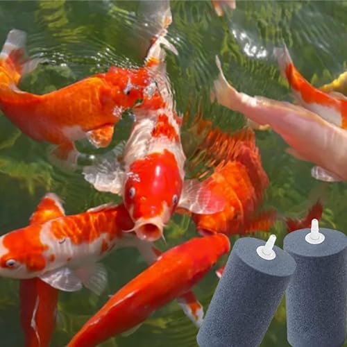 Miniatura 7 de Paquete de 6 piedras de aire grandes, enorme aire redondo de 4 x 2 pulgadas para acuario, hidroponía, pecera, estanque Koi, difusor de burbujas