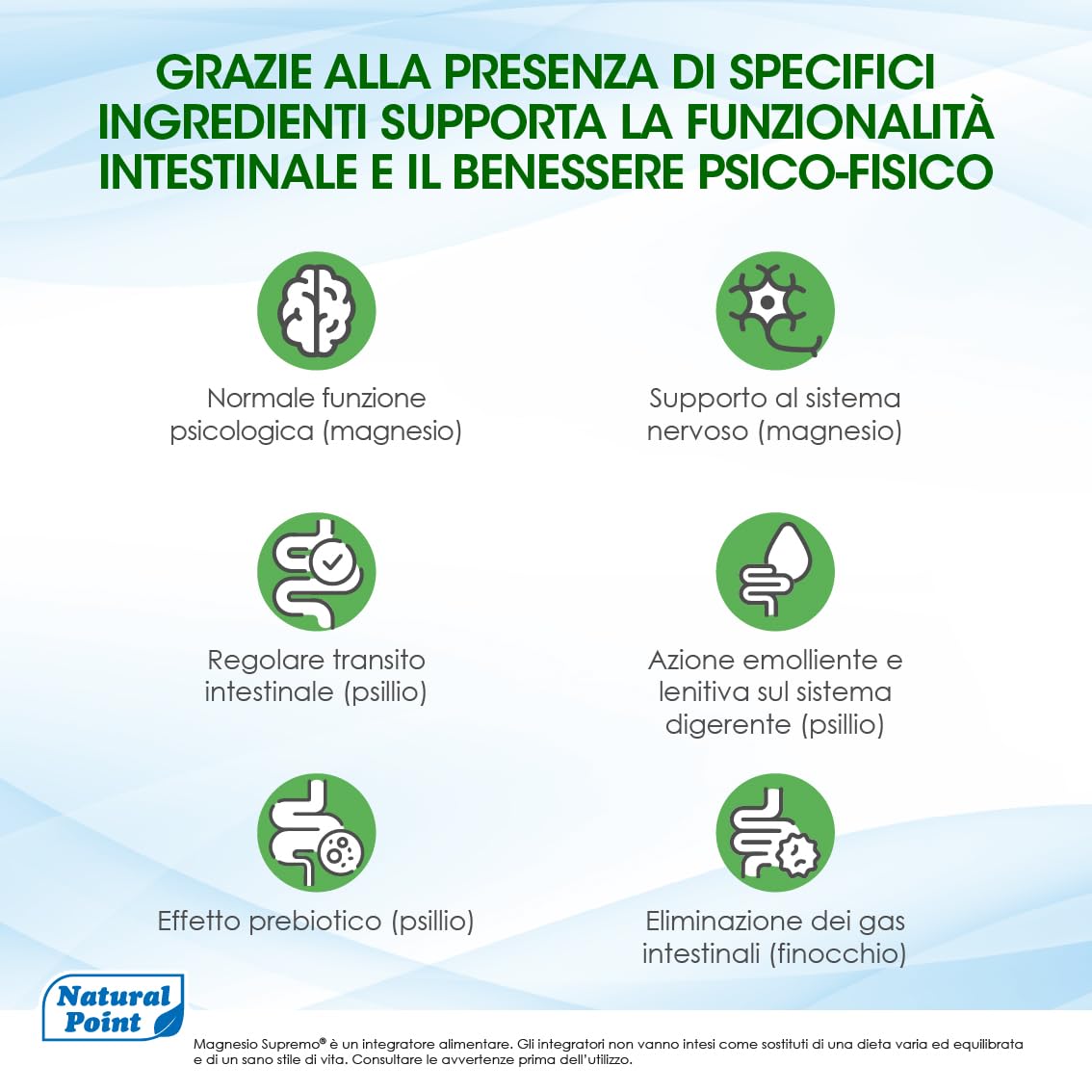 Regolarità Intestinale Integratore 350 g, 2x175 g | Magnesio Citrato In Polvere, Elevato Assorbimento, con Psillio Finocchio Guar, Benessere Intestinale, Azione Prebiotica