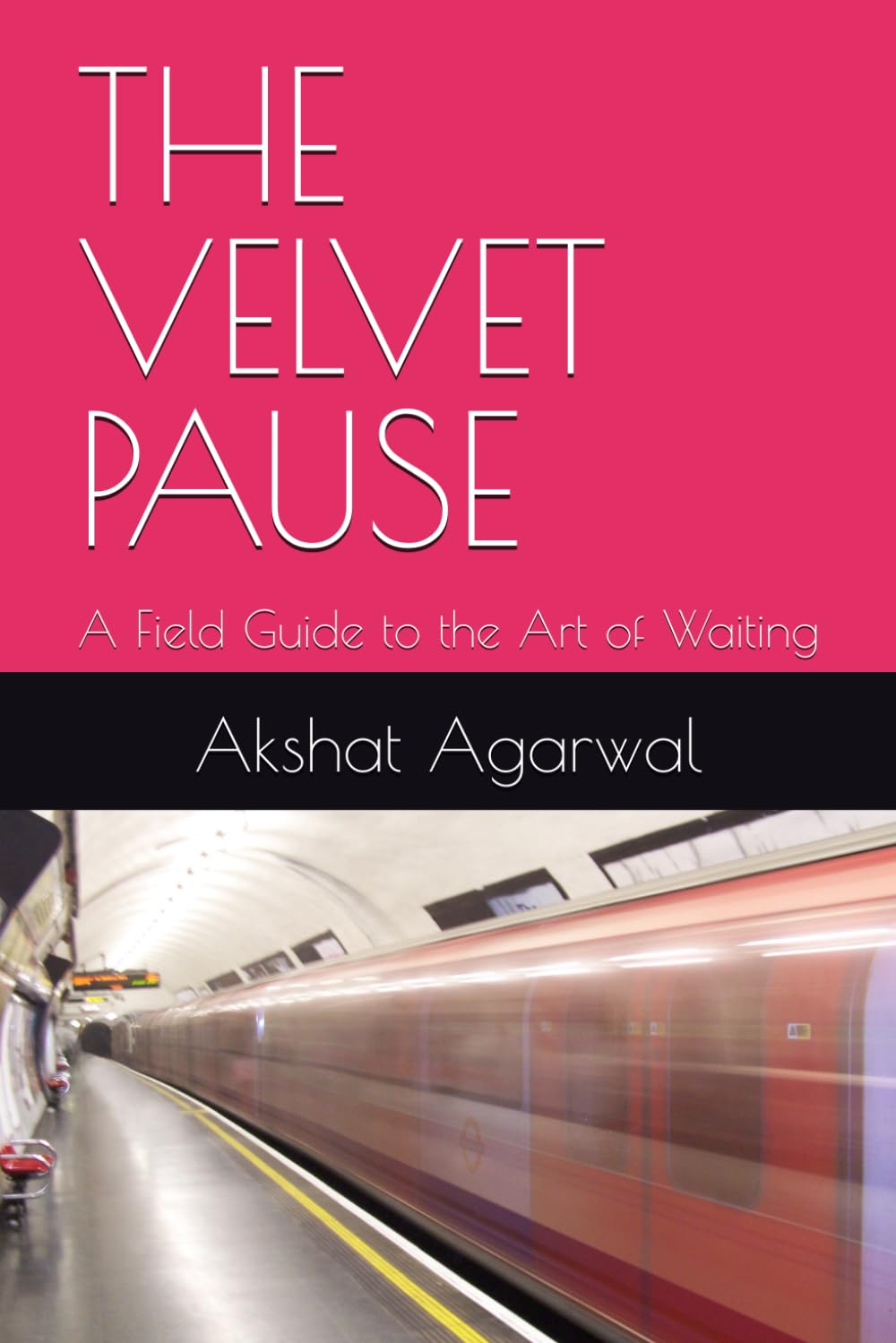 THE VELVET PAUSE: A Field Guide to the Art of Waiting
