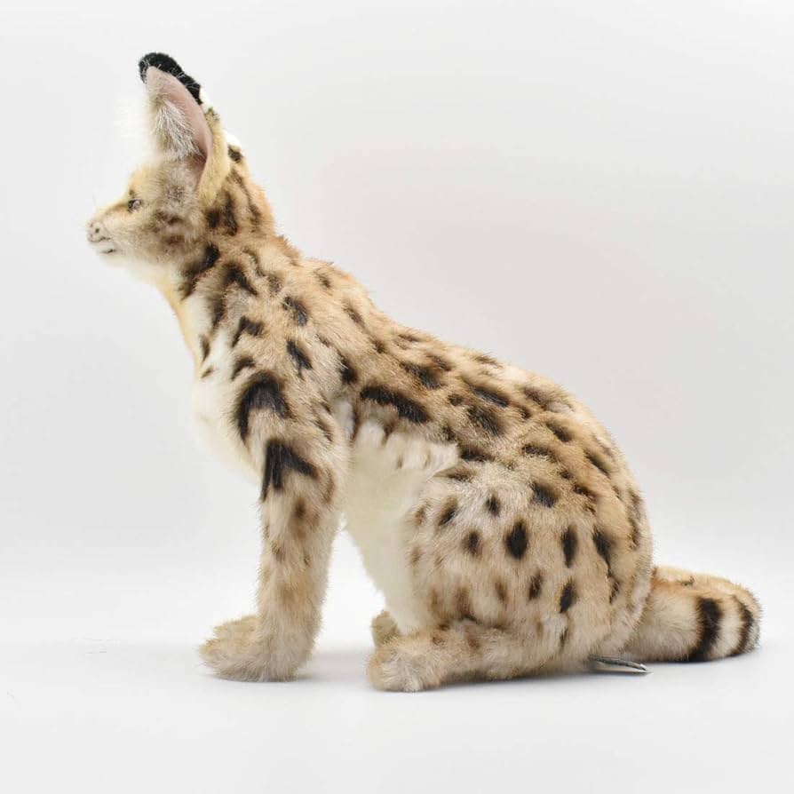 Amazon.co.jp: BH7373 HANSA サーバルキャット 44 : おもちゃ