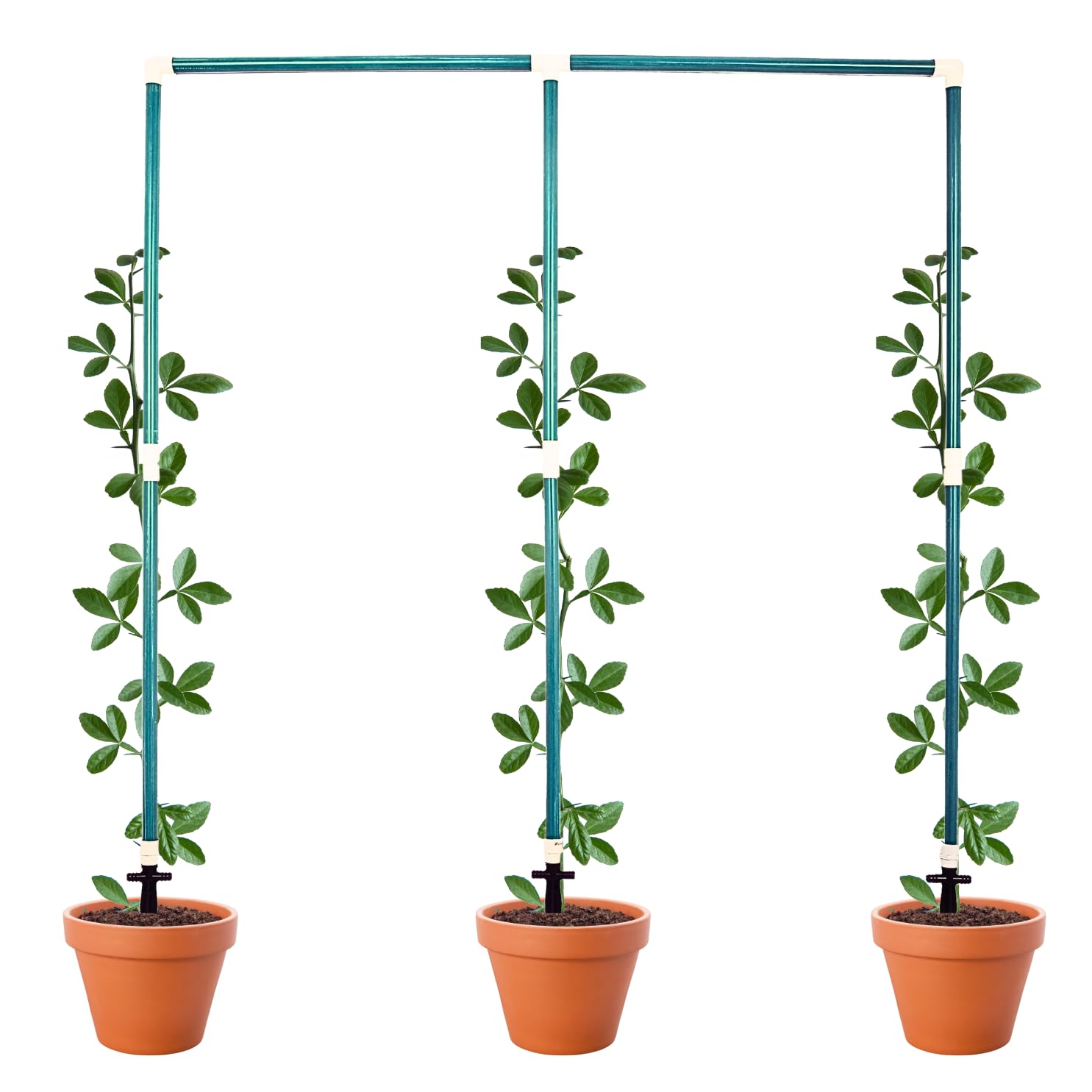 Plant Support Pole Garden Trellis for Creepers Vines Climber Plants 5 Feet by 4 Feet (Pack of 1) Garden Tools Plant Pole by Invelligen (Green) (B0CTQPZGR5) Amazon Price History, Amazon Price Tracker