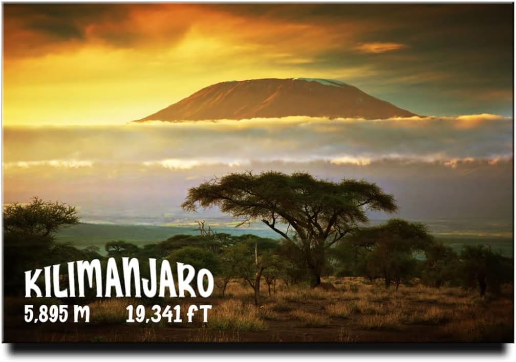 Kilimanjaro Mount Fridge Magnet Africa Travel Souvenir Safari Tanzania
