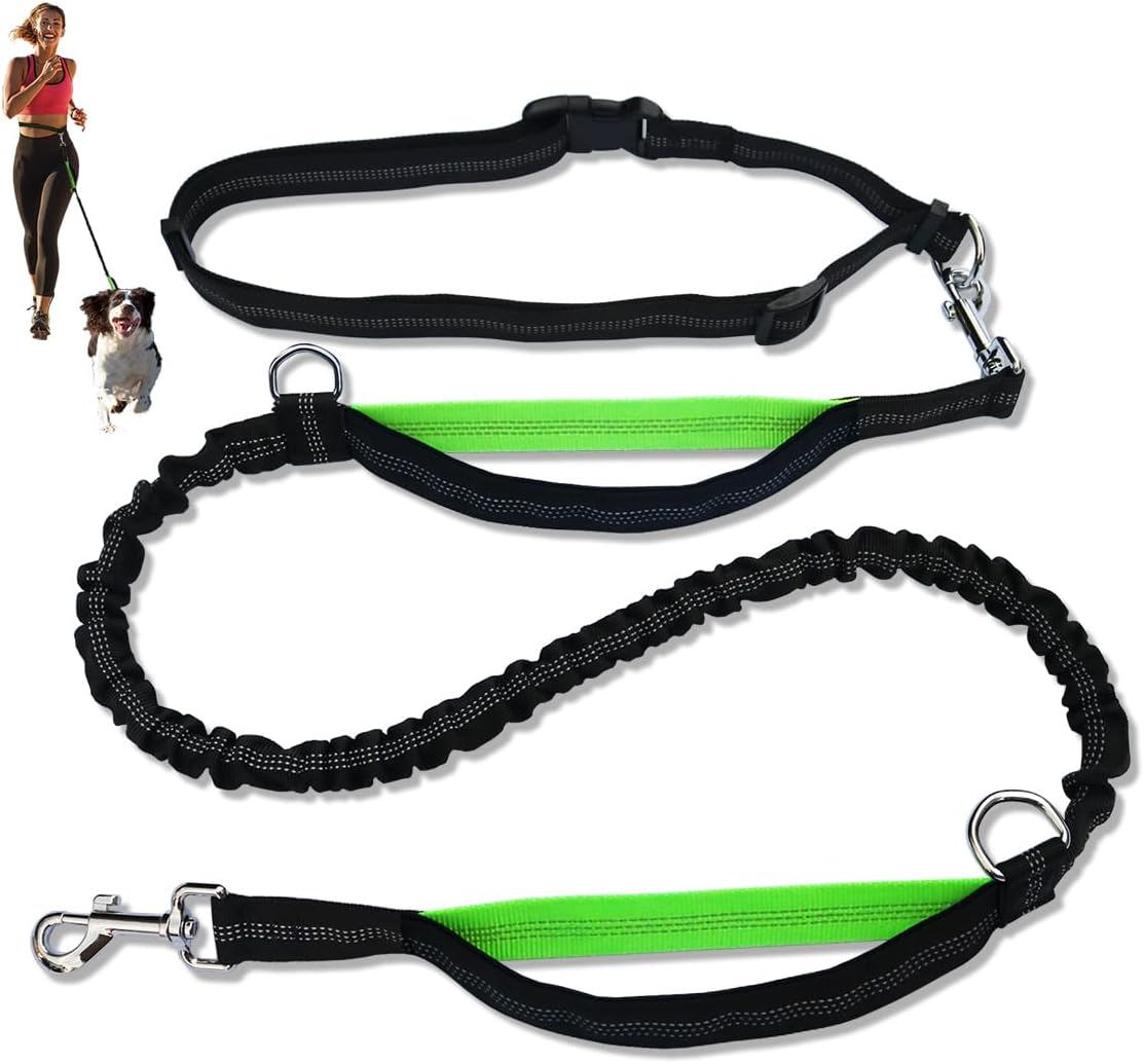 Paw Jamboree Dog Running Leash Hands Free Leashes for