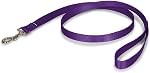 PetSafe Nylon Dog Leash - Strong, Durable, Traditional Style Leash with Easy to Use Bolt Snap - 3/4" x 6', Raspberry Pink